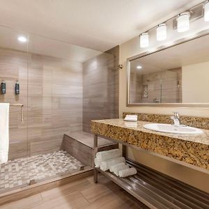Suite mit 1 Schlafzimmer und mit Kingsize-Bett